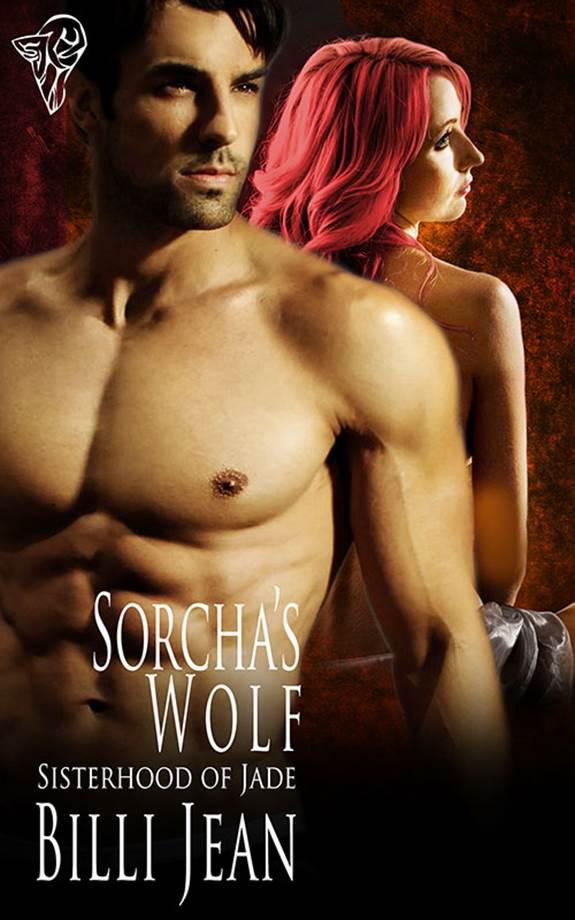 Sorcha's Wolf by Billi Jean