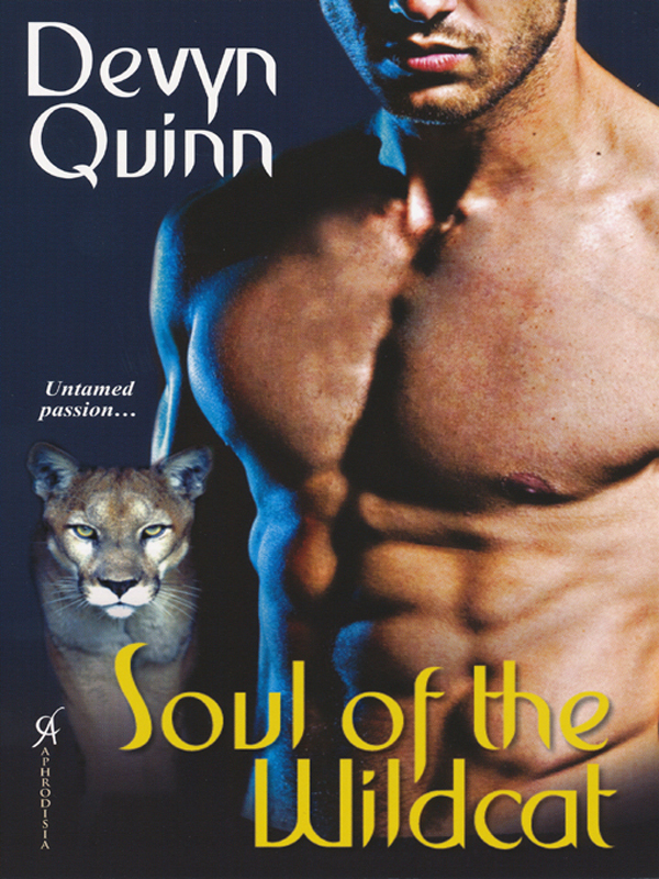 Soul of the Wildcat by Devyn Quinn