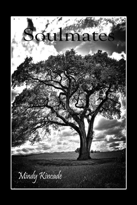 Soulmates (2013) by Mindy Kincade