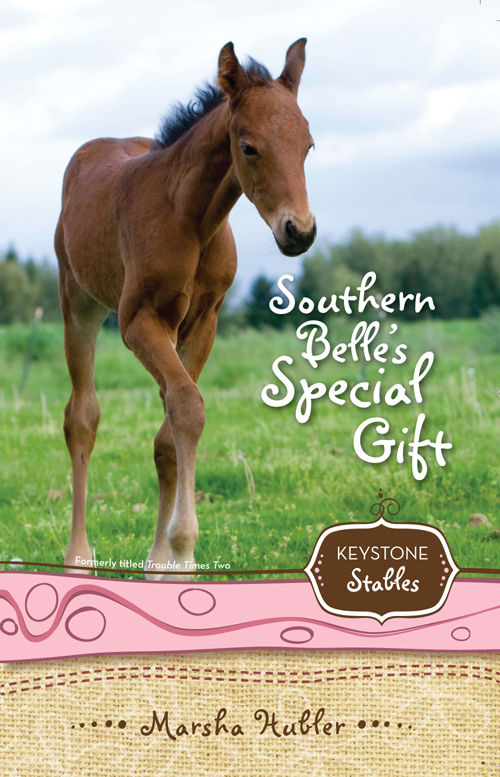 Southern Belle's Special Gift by Marsha Hubler