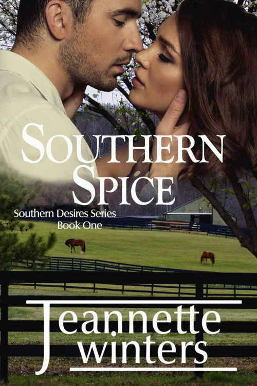 Southern Spice (Southern Desires Series Book 1) by Jeannette Winters