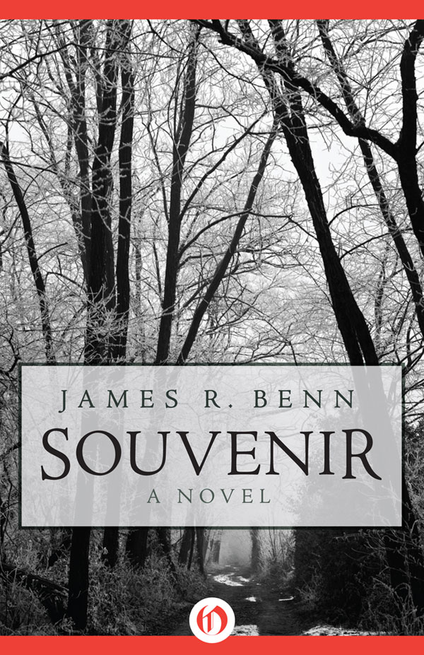 Souvenir (2012) by James R. Benn