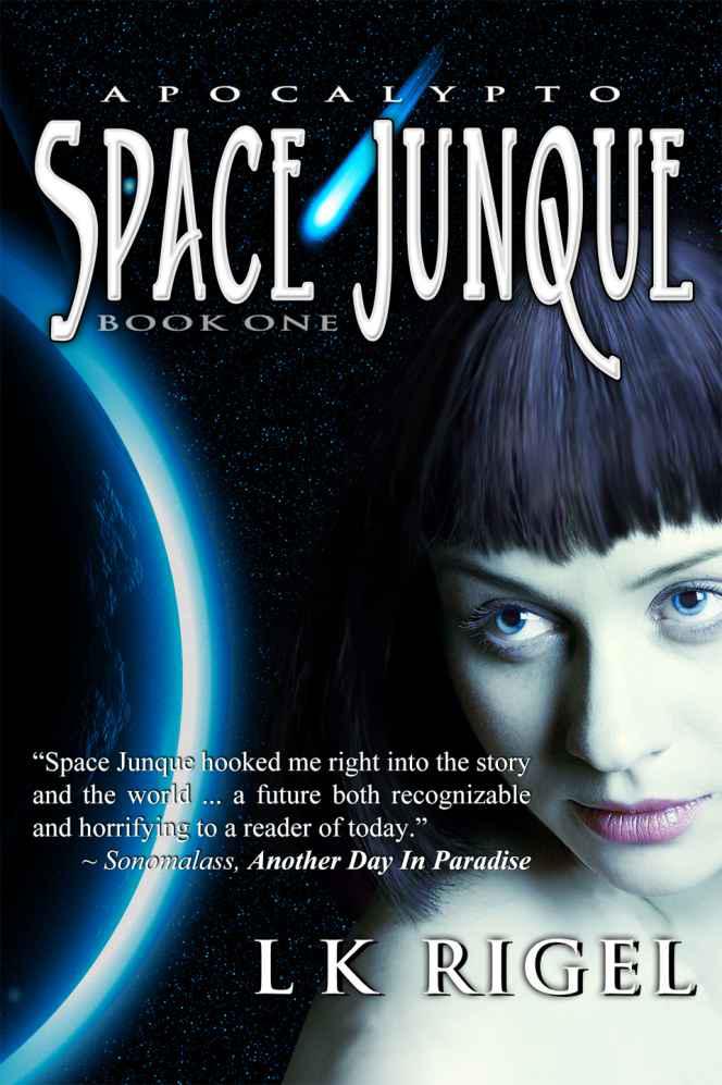 Space Junque by L. K. Rigel