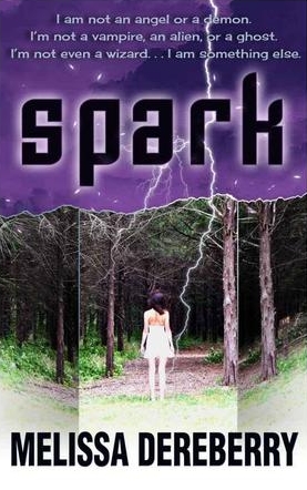 Spark by Melissa Dereberry