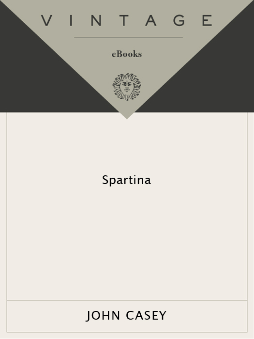 Spartina (2014)