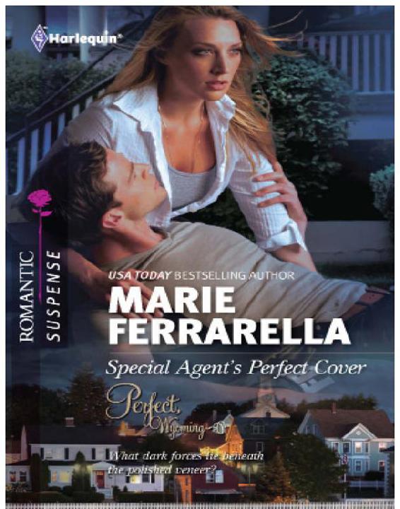 Special Agent's Perfect Cover