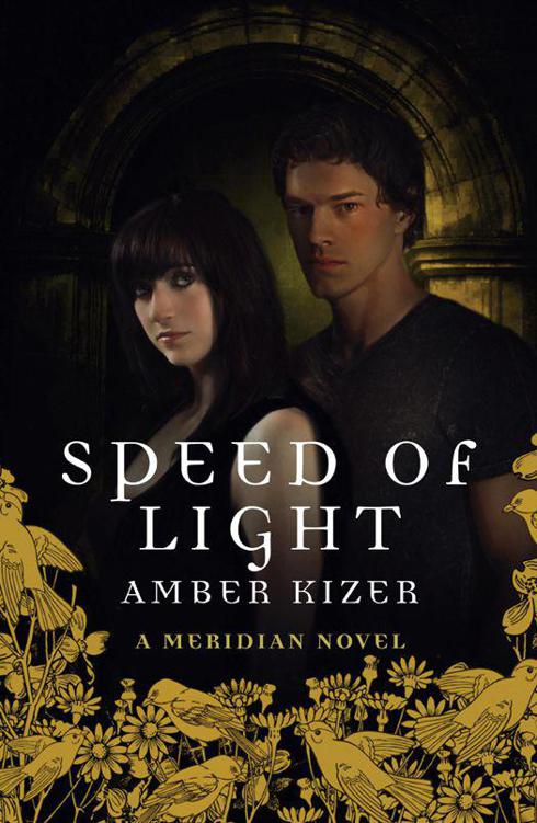 Speed of Light by Amber Kizer