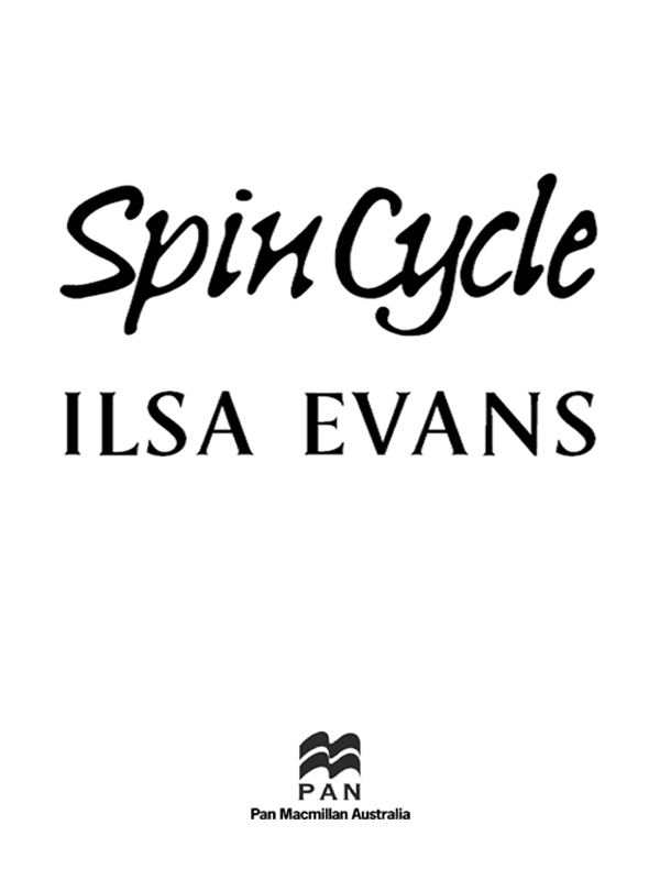 Spin Cycle (2002) by Ilsa Evans