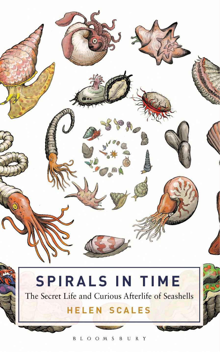 Spirals in Time: The Secret Life and Curious Afterlife of Seashells by Helen Scales