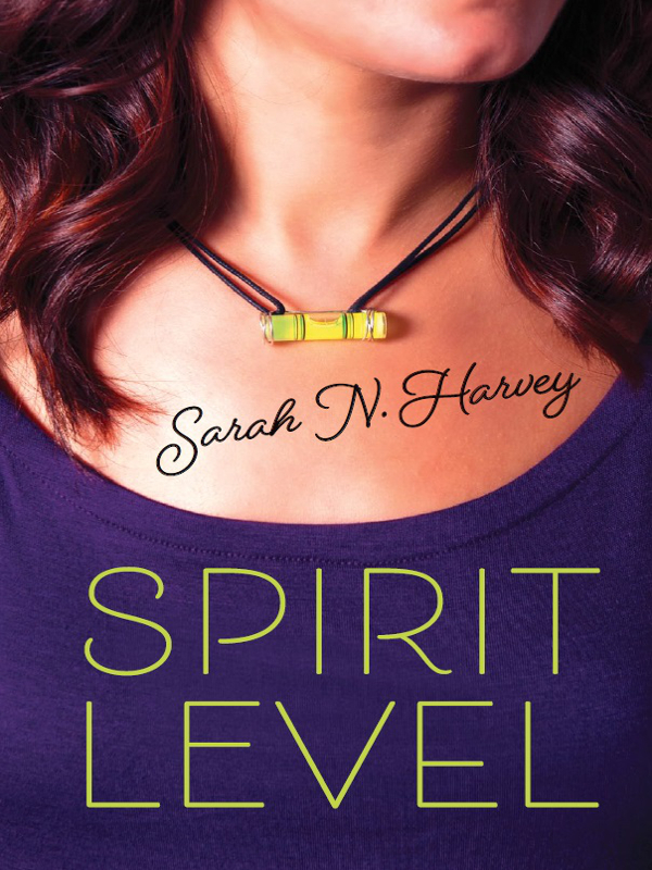 Spirit Level by Sarah N. Harvey