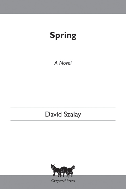 Spring by David Szalay