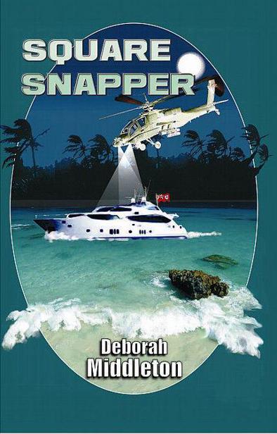 Square Snapper (Detective Inspector Burgess) by Middleton, Deborah