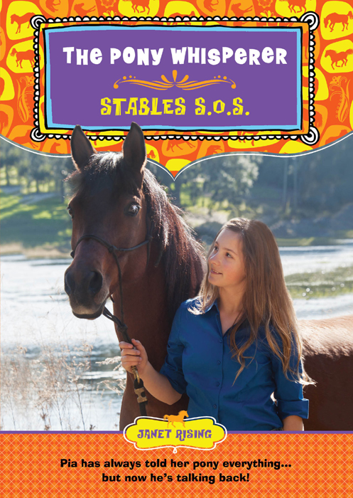 Stables S.O.S. (2012) by Janet Rising