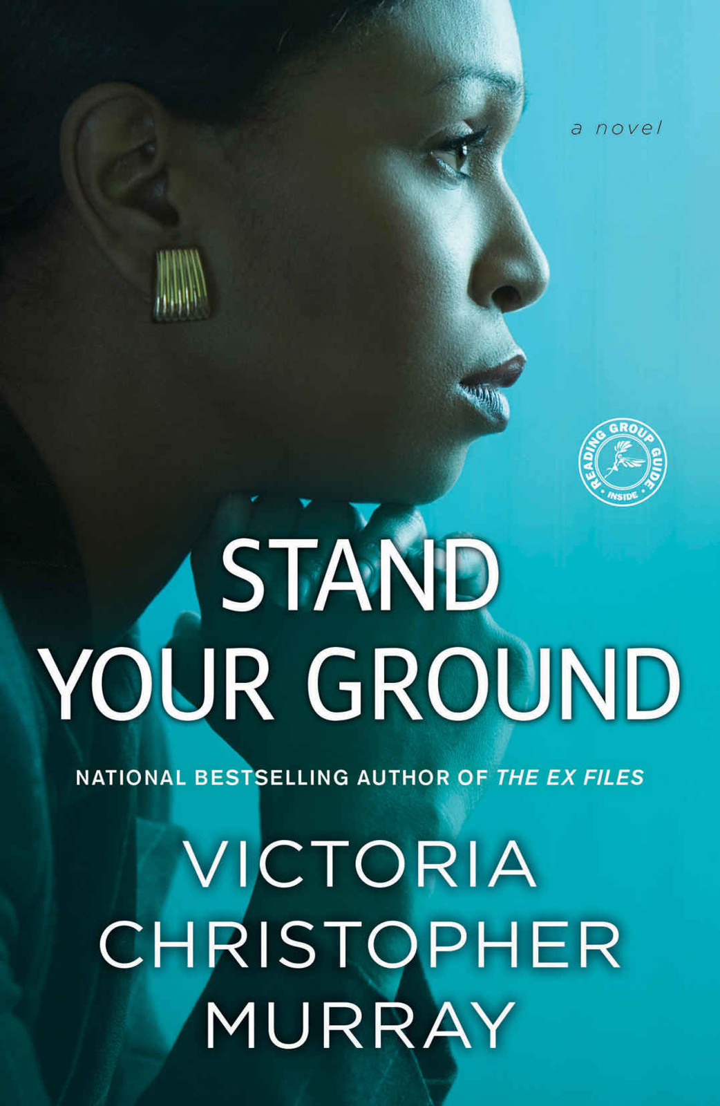 Stand Your Ground: A Novel