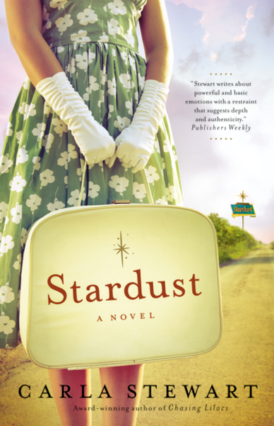 Stardust A Novel by Carla Stewart