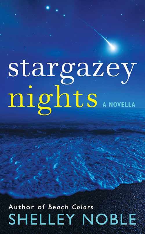 Stargazey Nights (2013) by Shelley Noble