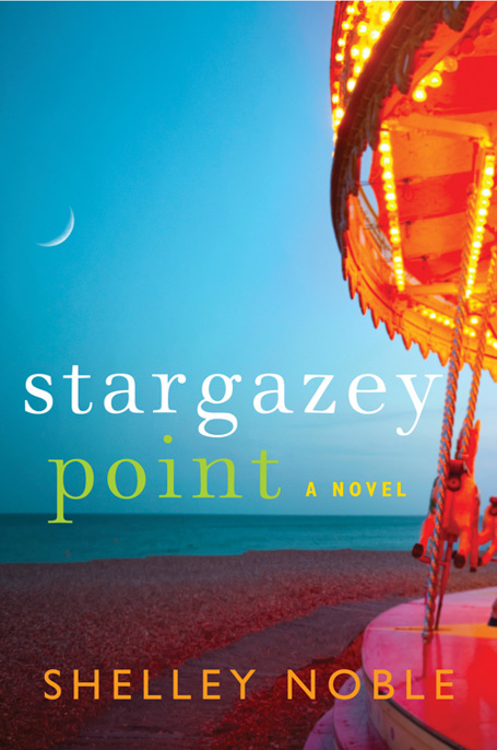 Stargazey Point by Shelley Noble