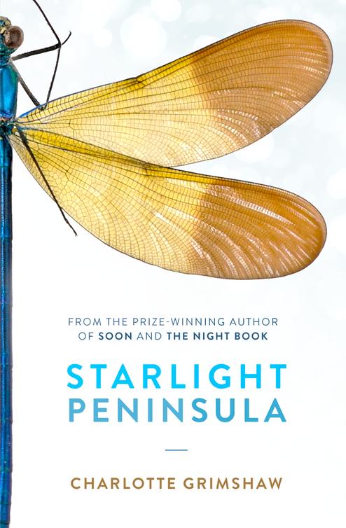 Starlight Peninsula (2015) by Grimshaw, Charlotte