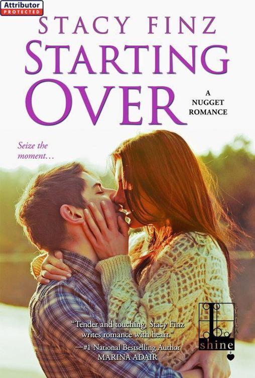 Starting Over (Nugget Romance 4) by Stacy Finz