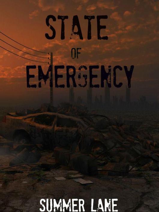 State of Emergency (Book) by Lane, Summer