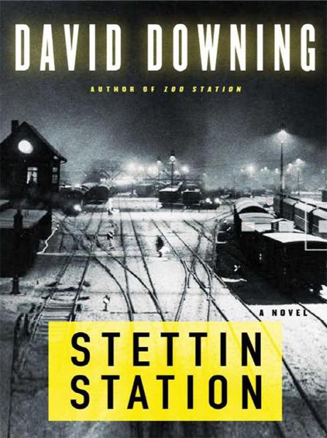 Stattin Station by David Downing