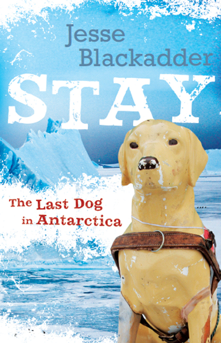 Stay:The Last Dog in Antarctica by Blackadder, Jesse