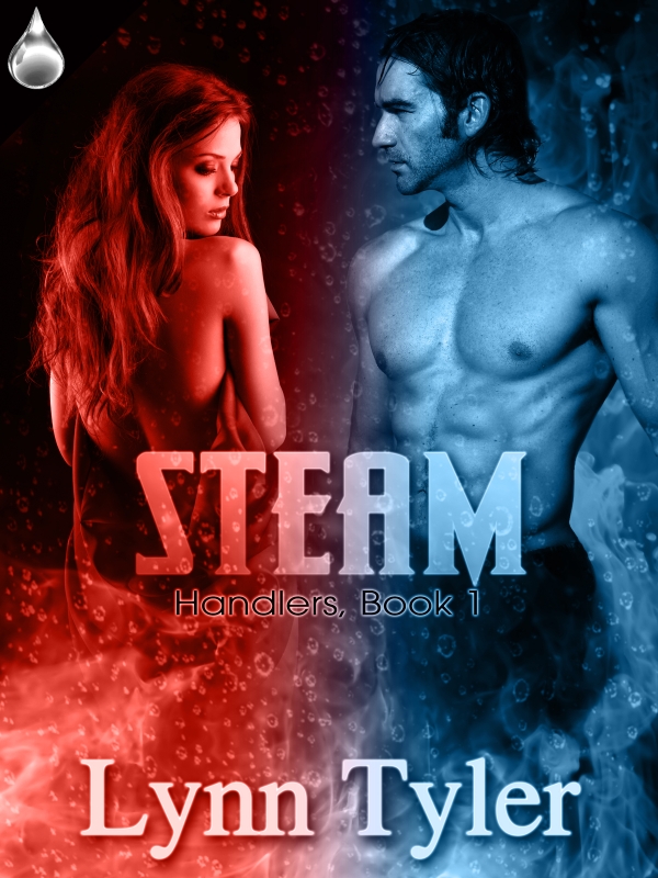 Steam (2014) by Lynn Tyler