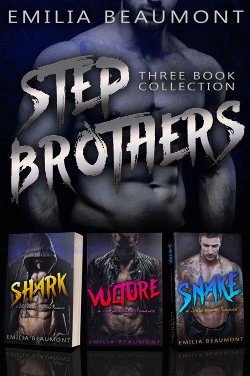 STEPBROTHERS (3 Book Stepbrother Romance Collection)