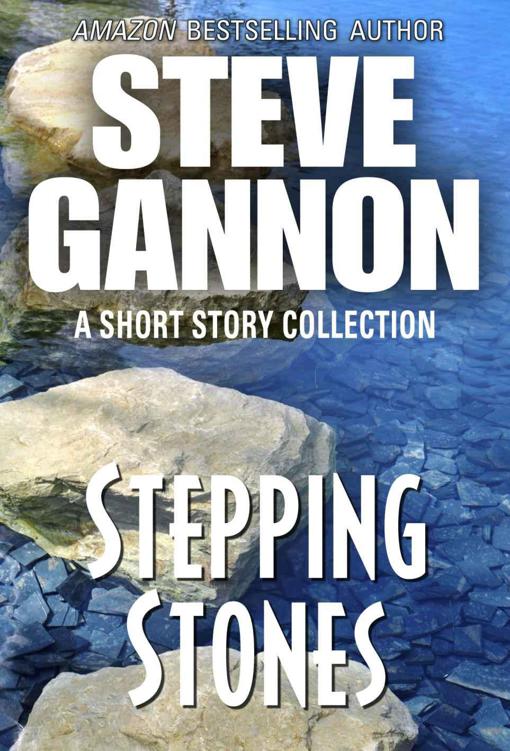 Stepping Stones by Gannon, Steve