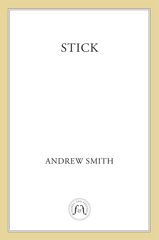 Stick by Andrew  Smith