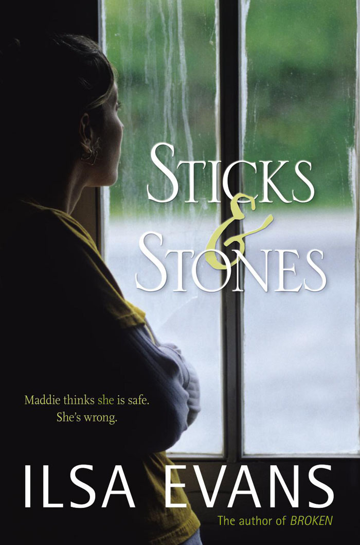 Sticks and Stones by Ilsa Evans