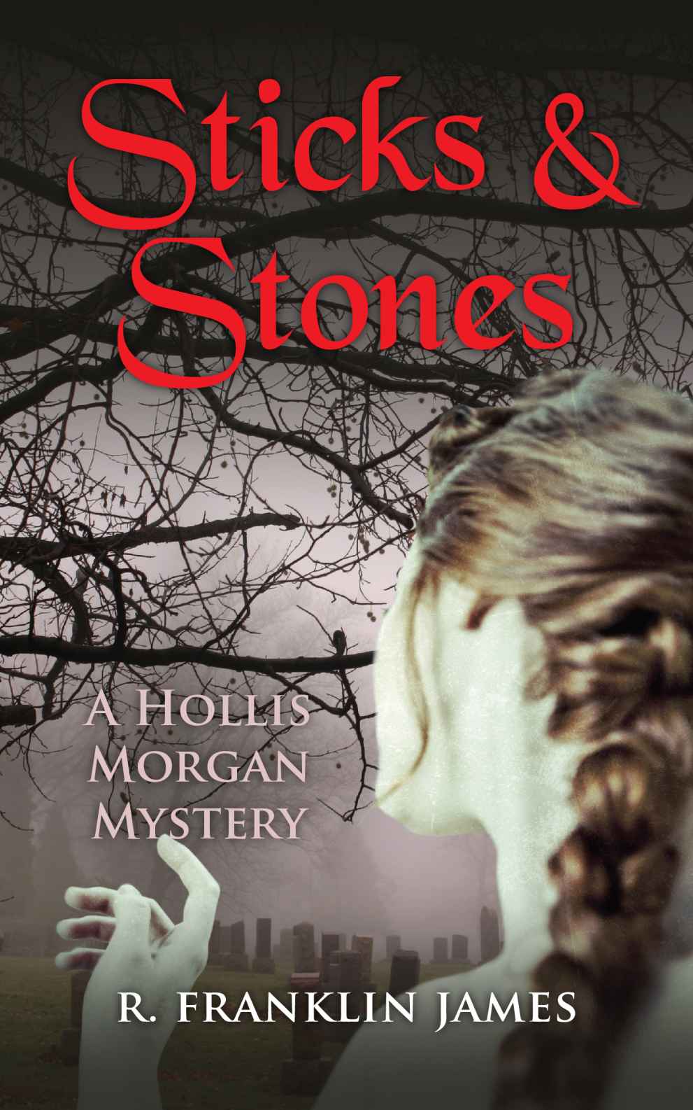 Sticks & Stones (A Hollis Morgan Mystery) by R. Franklin James