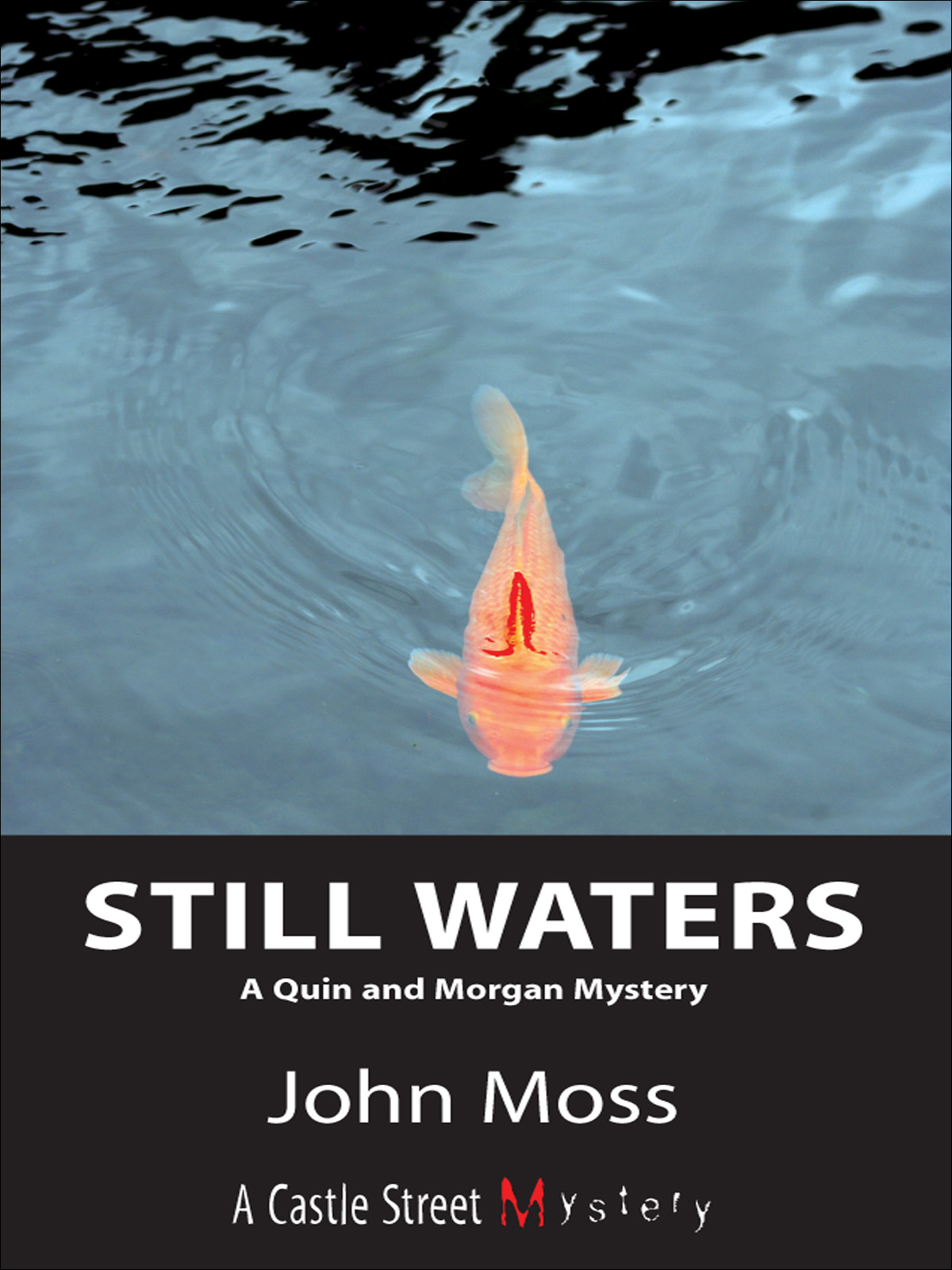 Still Waters (2008)