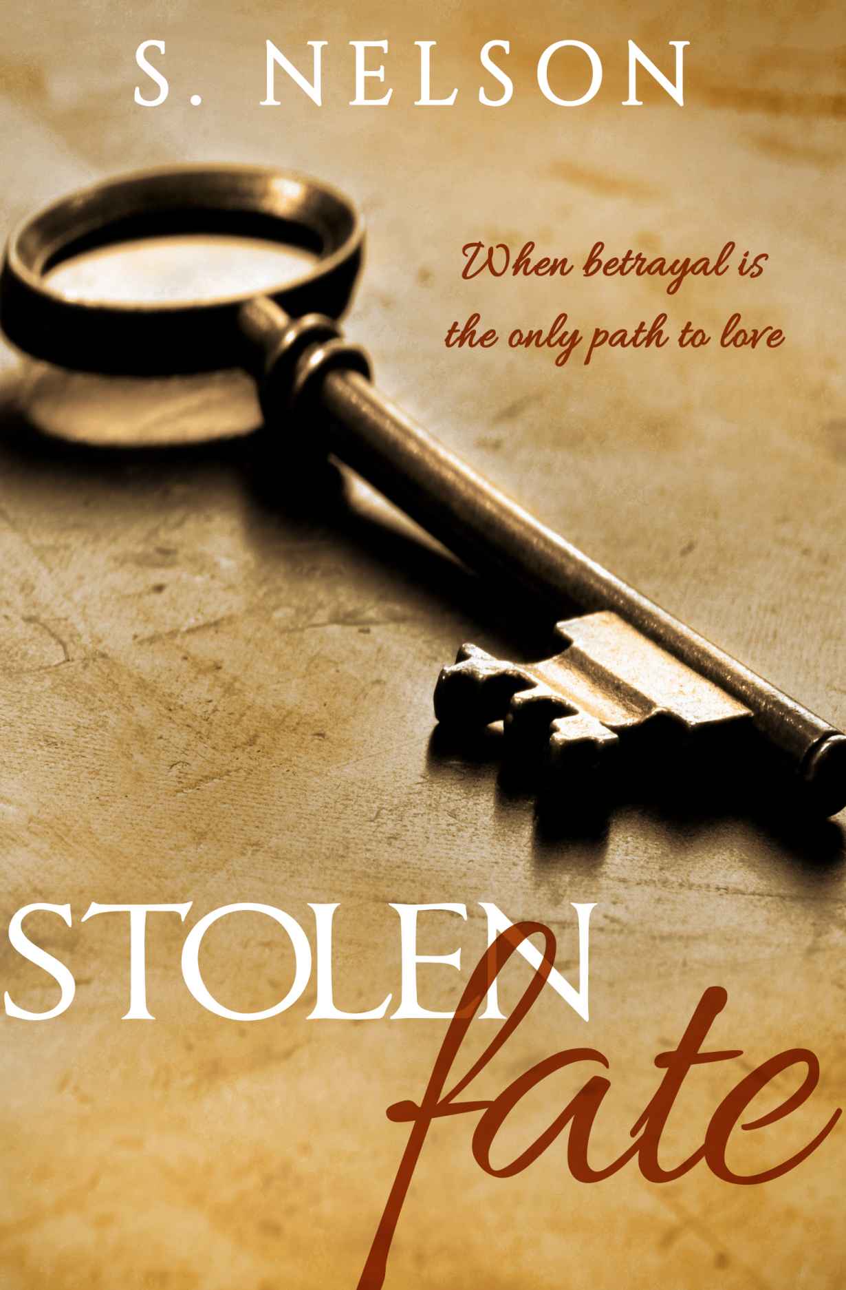 Stolen Fate by S. Nelson