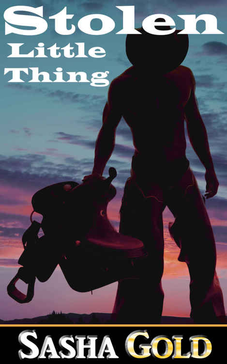 Stolen Little Thing (Little Thing Series Book 1) by Sasha Gold