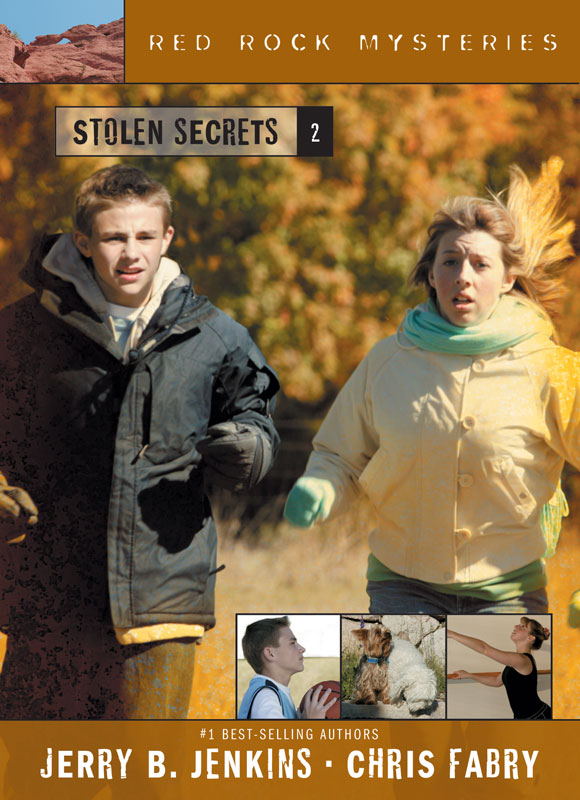 Stolen Secrets (2005) by Jerry B. Jenkins