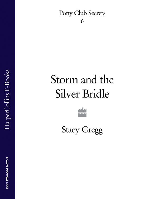 Storm and the Silver Bridle (2009) by Stacy Gregg