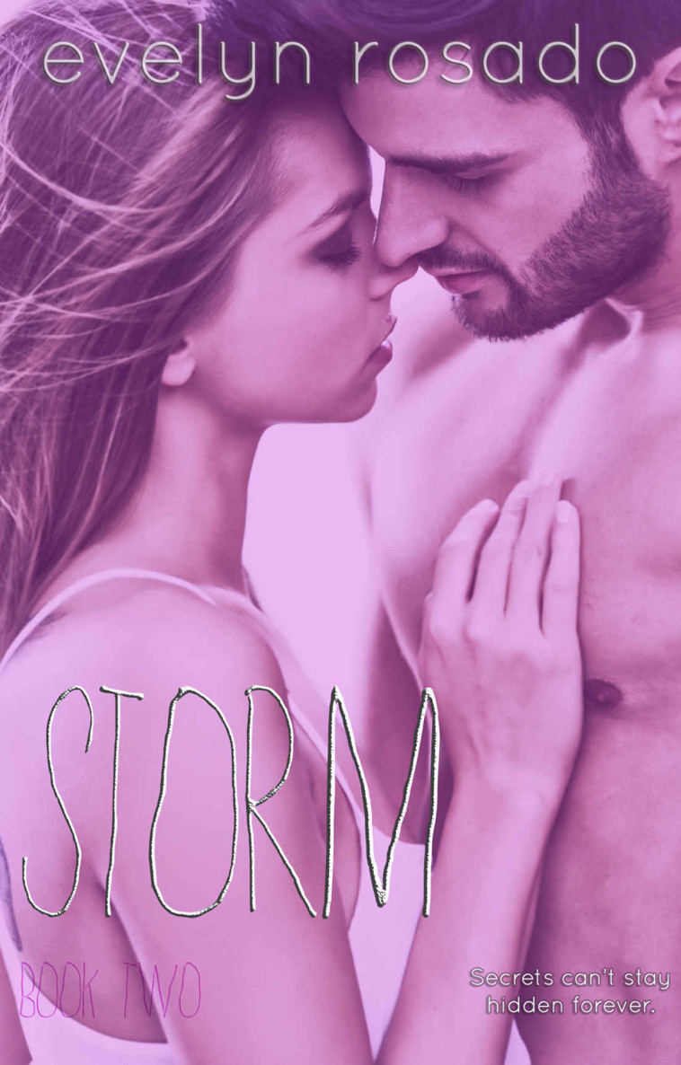 Storm: Book 2 by Evelyn Rosado