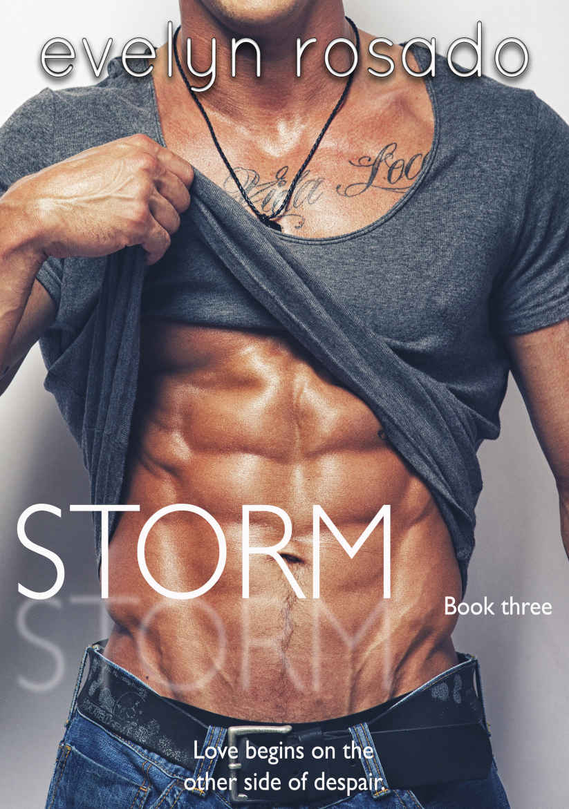 Storm: Book 3 by Evelyn Rosado