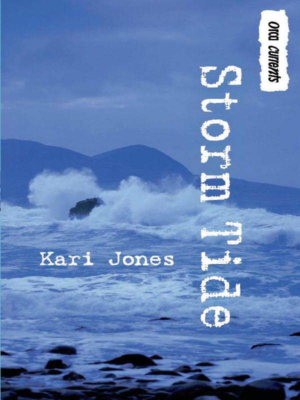 Storm Tide (2011) by Kari Jones