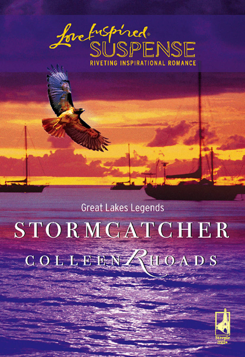 Stormcatcher (2006) by Colleen Rhoads