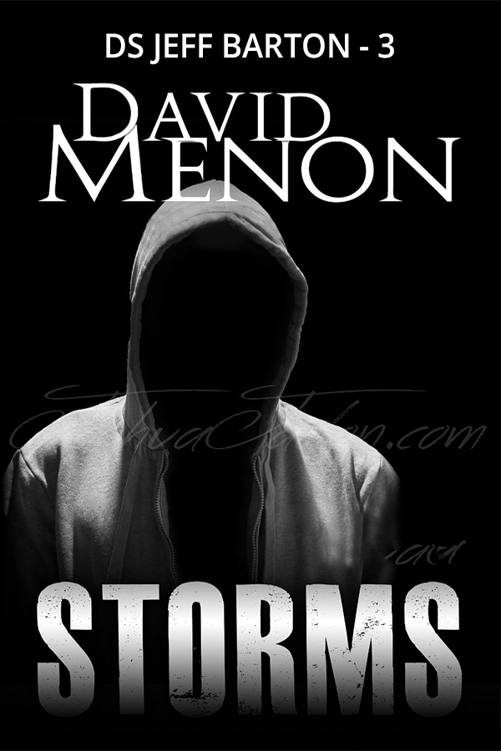 Storms by Menon, David