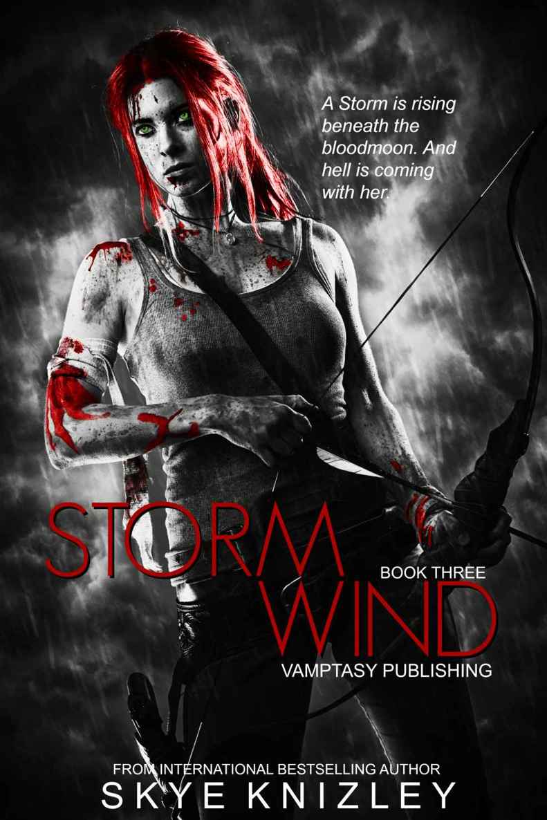 Stormwind (The Storm Chronicles Book 3) by Skye Knizley