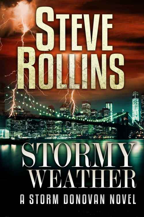 Stormy Weather (Storm Donovan Book 1) by Steve Rollins