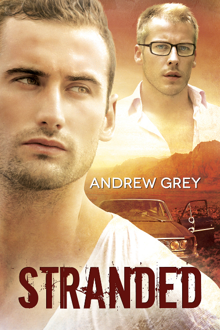 Stranded by Andrew  Grey