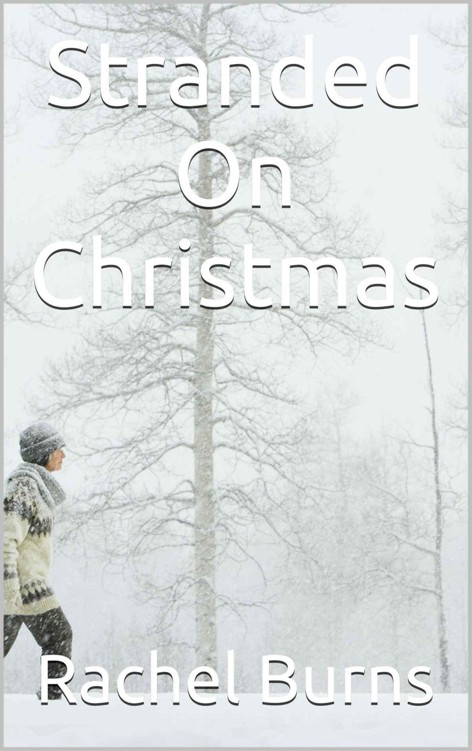 Stranded On Christmas by Burns, Rachel