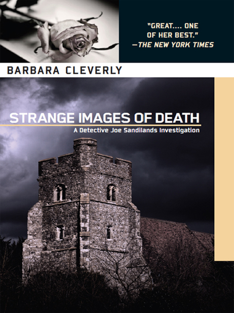 Strange Images of Death by Barbara Cleverly