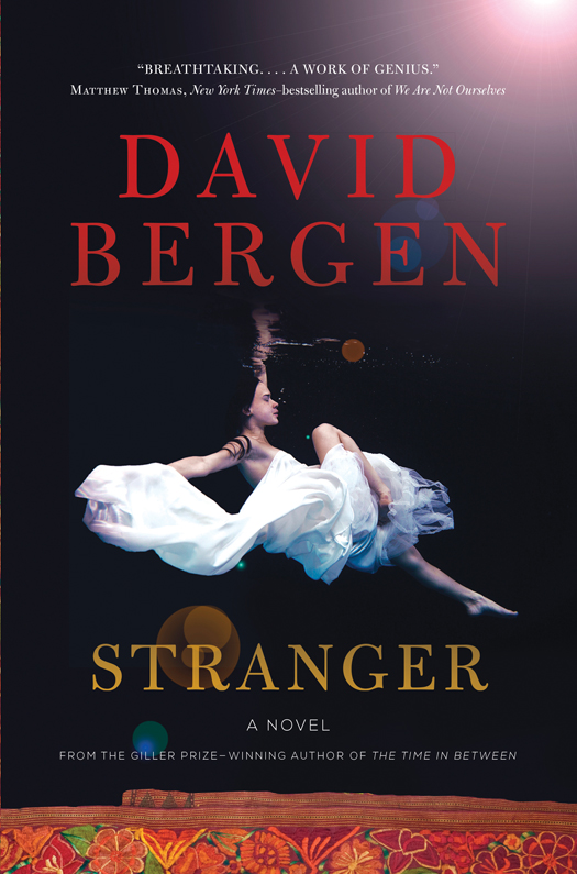 Stranger (2016) by David Bergen