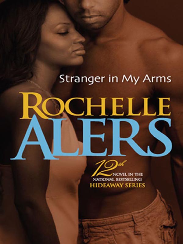 Stranger in my Arms (2007) by Rochelle Alers