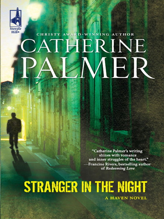 Stranger in the Night by Catherine   Palmer